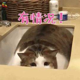 微信更新了隐私功能找不到在哪里,微信8.0.19隐私功能怎么找不到了