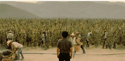 毒枭墨西哥电视剧,毒枭墨西哥第一季哪里看到