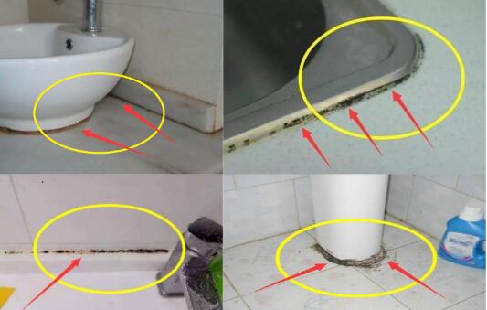 鱼缸里玻璃胶发霉发黑怎么处理,玻璃胶发霉清除小妙方