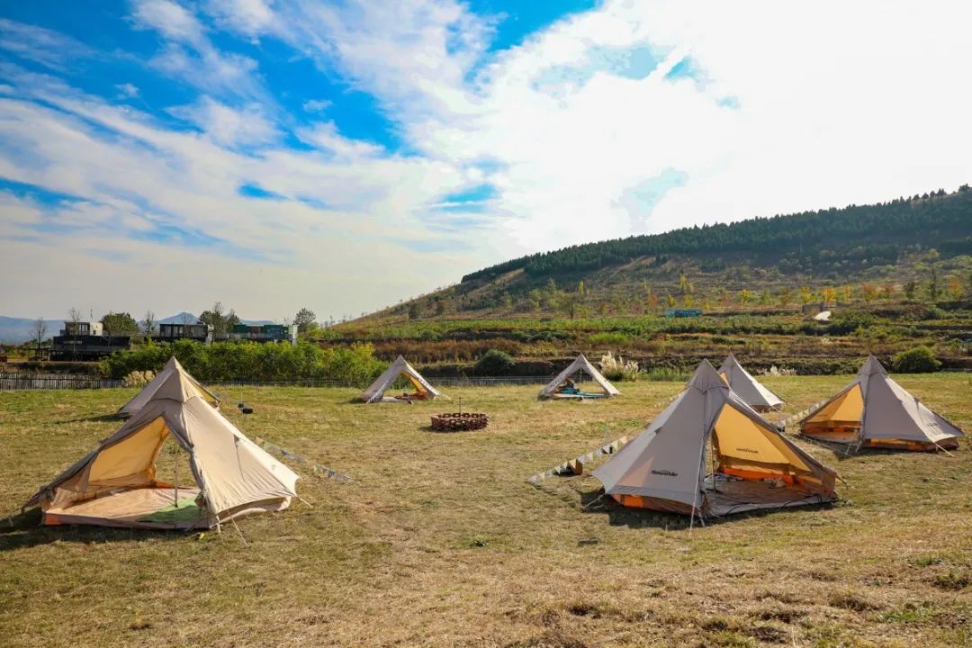 冬季山东旅行经典路线组合,秋冬山东省内旅游
