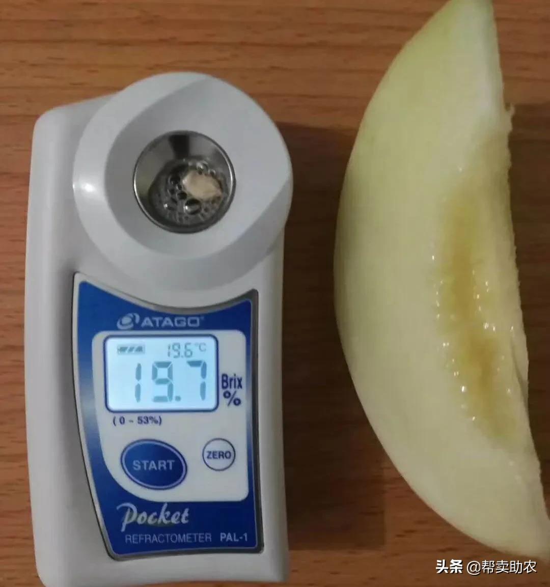 5岁小朋友吃饭狼吞虎咽,4-6岁儿童必吃美食