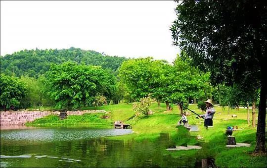广州免费公园景点大全,广州免费公园排名