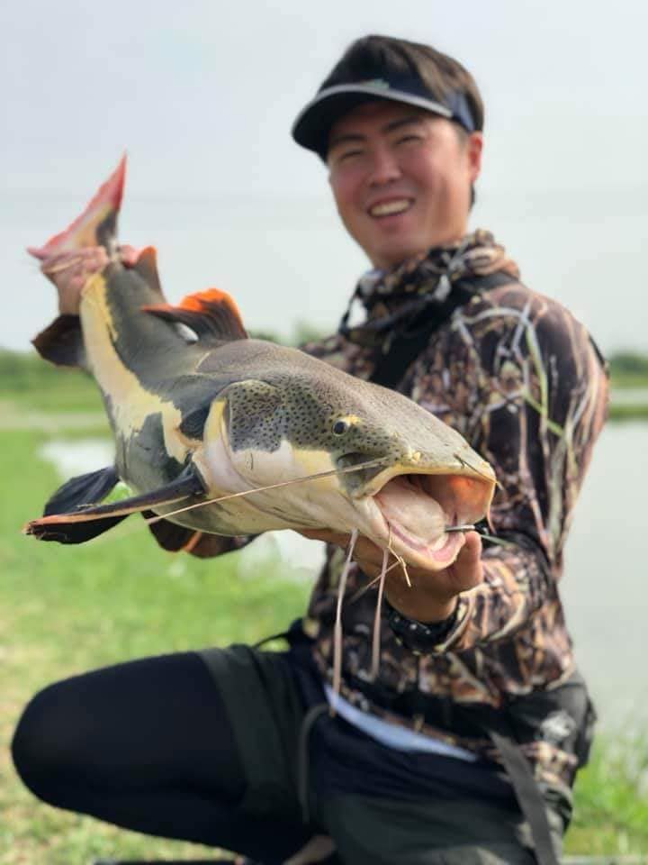 红尾鲶厉害吗,李大毛钓红尾鲶