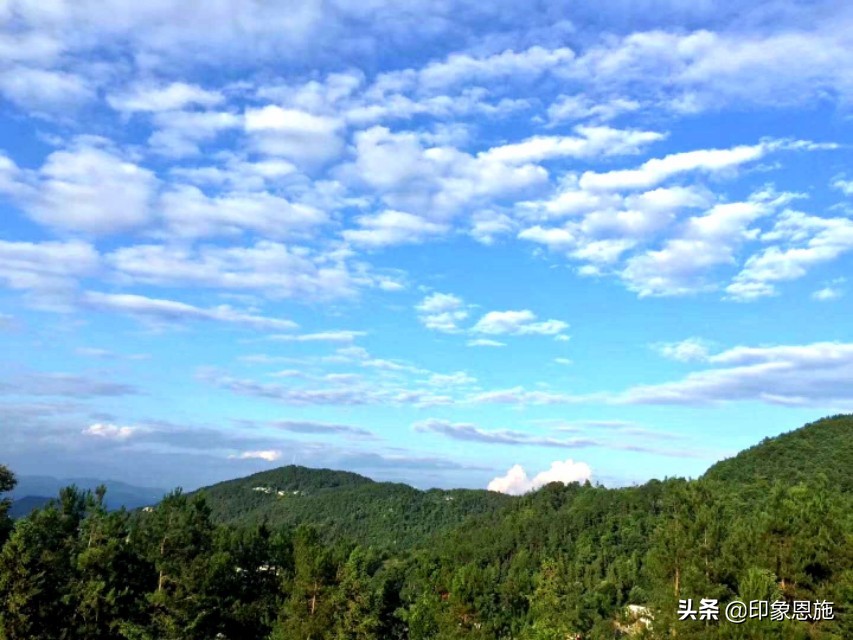 农家妇女尹彦凤创办娇娇农家带一方致富