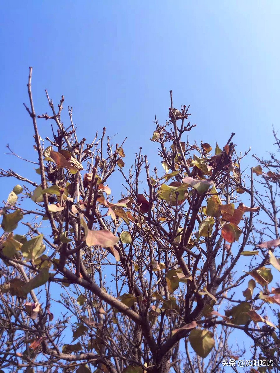 南昌五一周边野餐,五一放假别乱跑