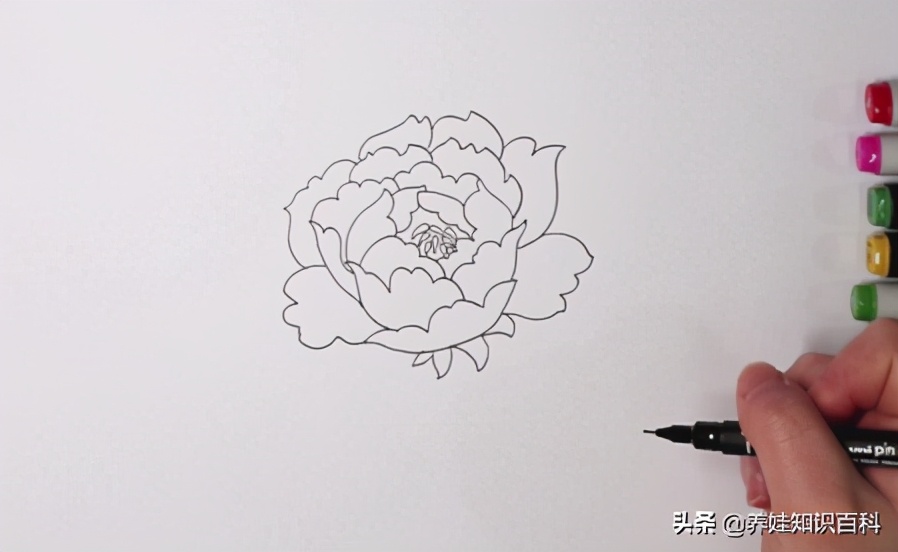 牡丹怎么画漂亮又简单马克笔画,简单画牡丹画法步骤