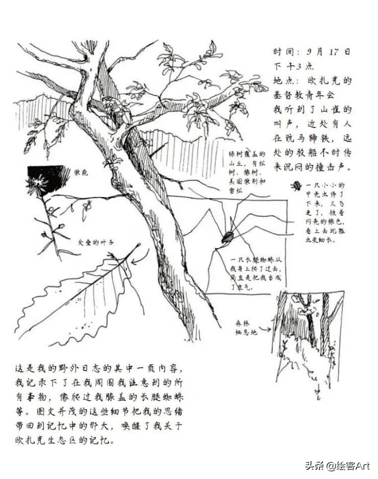 怎么才能画好速写,速写调子如何画得干净又利落