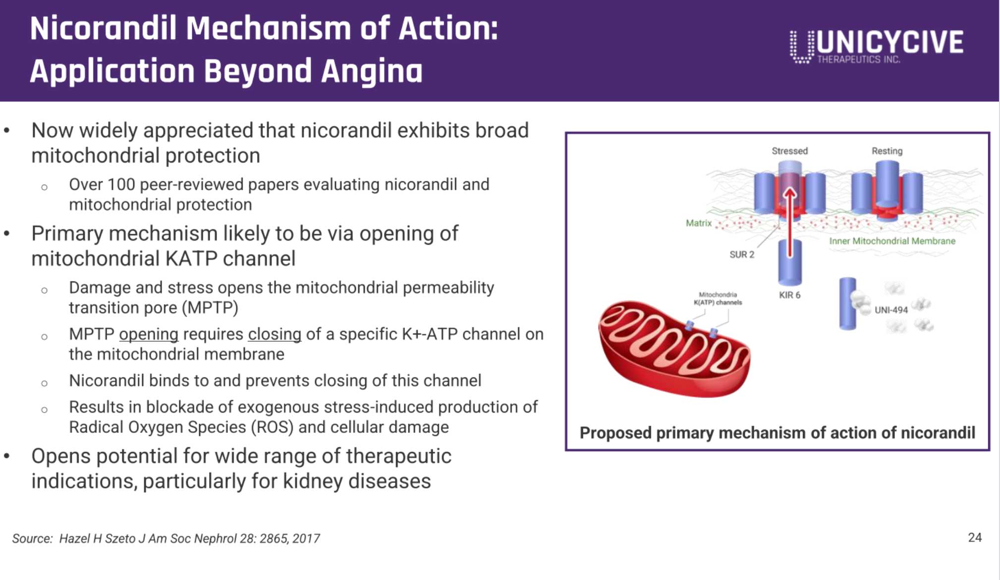 Unicycive冲刺纳斯达克：拟募资2766万美元路演PPT曝光
