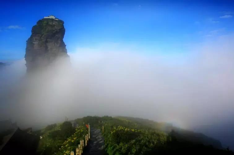 只要掌握这个窍门，佛光，你可以一天看N次