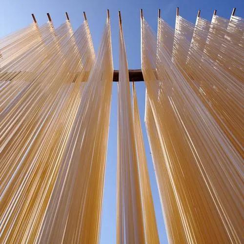 商洛人都不知道的特产,商洛野果特产