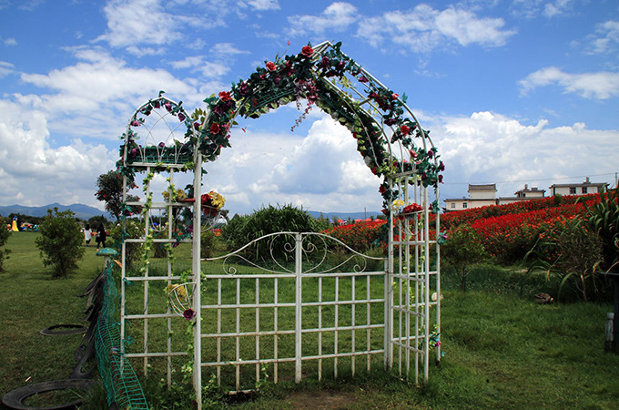 洱海旅游景点攻略,西安洱海旅游攻略必去景点