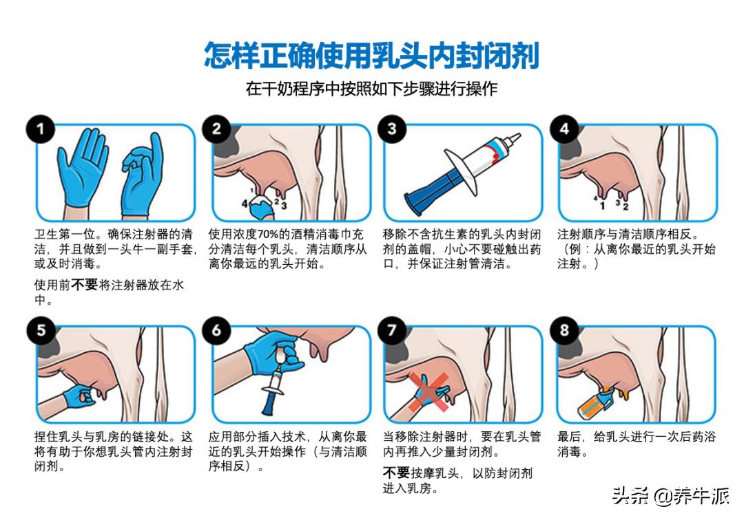 奶牛乳腺管炎怎么办,乳房炎如何预防护理