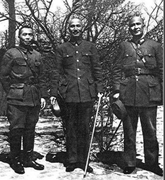 白崇禧桂系军阀结局,桂系首领白崇禧死因