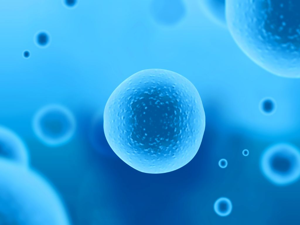 如何养好女性的卵巢,女性怎么养卵最有效