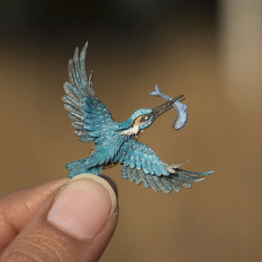 制作各种手工鸟,制作纸鸟嘴