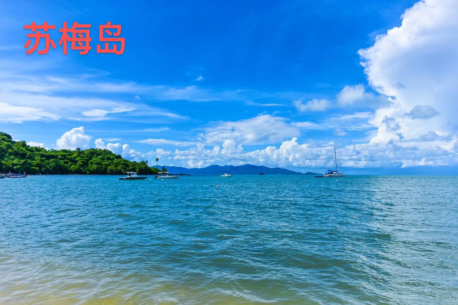 你知道泰国明星金渐层吗,你了解泰国吗