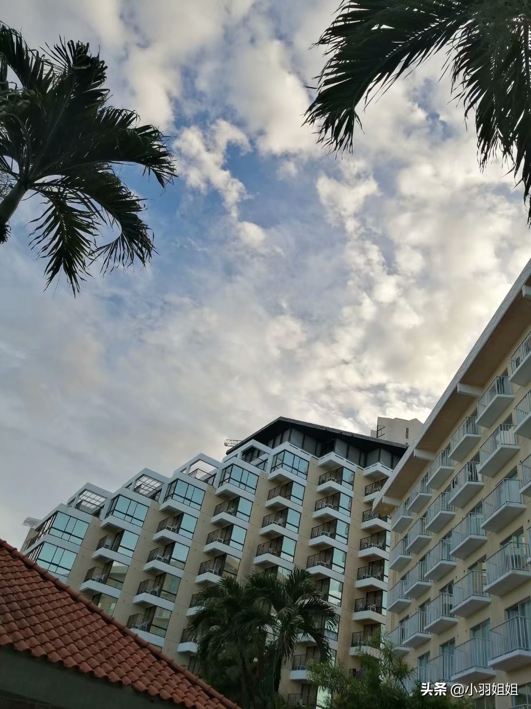 蜜月游塞班岛视频,蜜月在塞班岛里