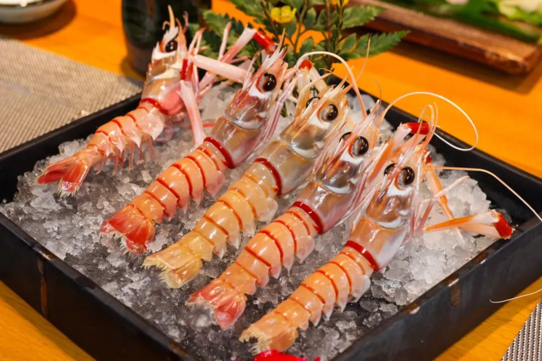 长春蓝鳍金枪鱼,长春鳌虾刺身