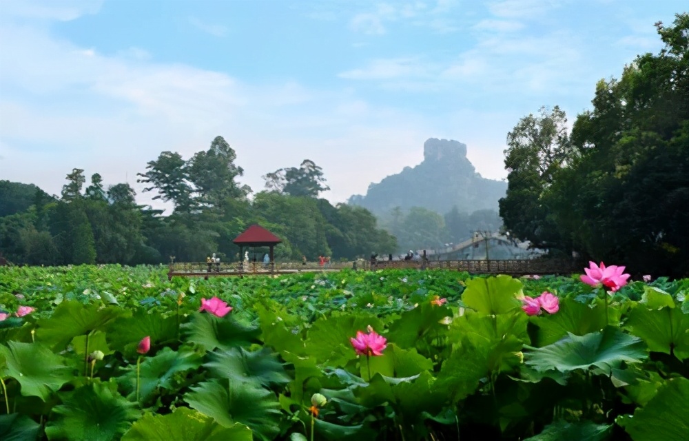 广西柳州旅游景点大全排名,柳州市a级景区