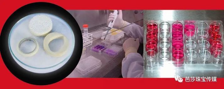 七夕送什么口红不会出错,七夕送女朋友口红送几支合适