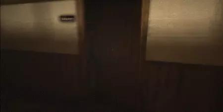 十大恐怖逃生游戏推荐,一点也不可怕的游戏系列