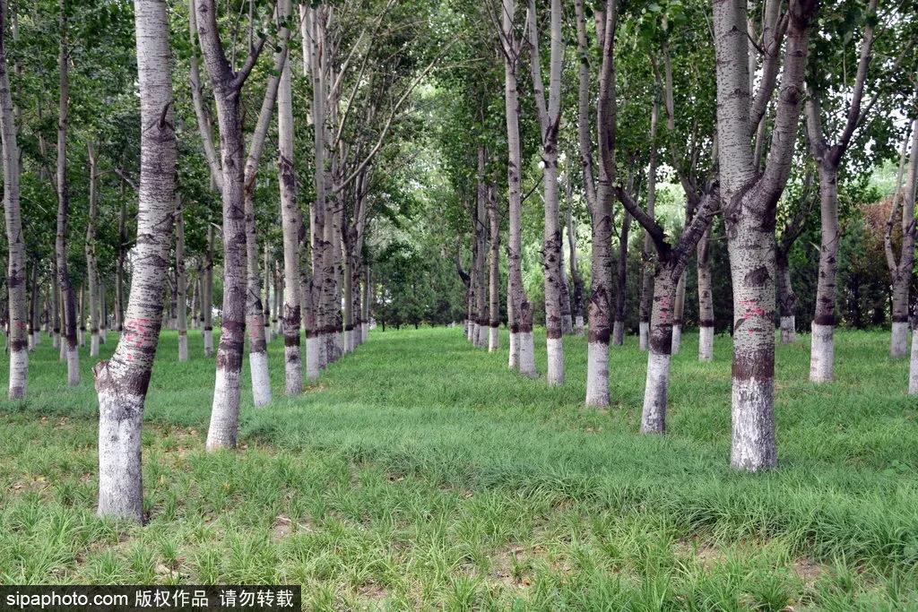 北京适合秋游的公园,北京周边适合小学生玩的主题公园