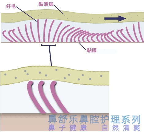 过敏性鼻炎可以彻底根治吗,过敏性鼻炎动手术能根治吗