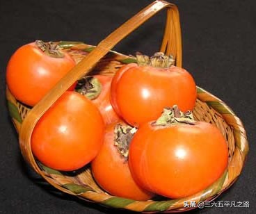 一个柿子十副药有什么说法,一个柿子十副药的下一句