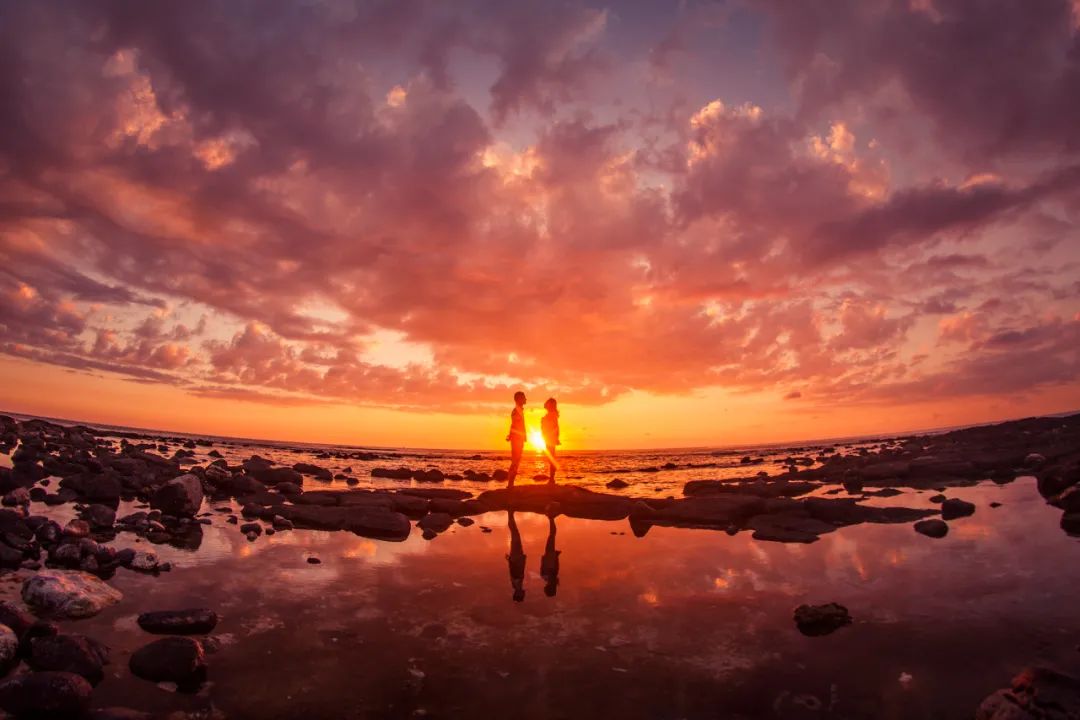 高登喜岸｜七夕节我们只想……