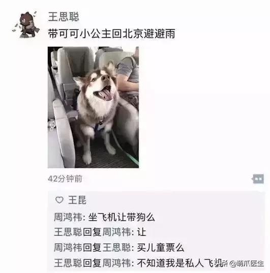 假期出行猫咪怎么安置,出去游玩5天猫咪该怎么办