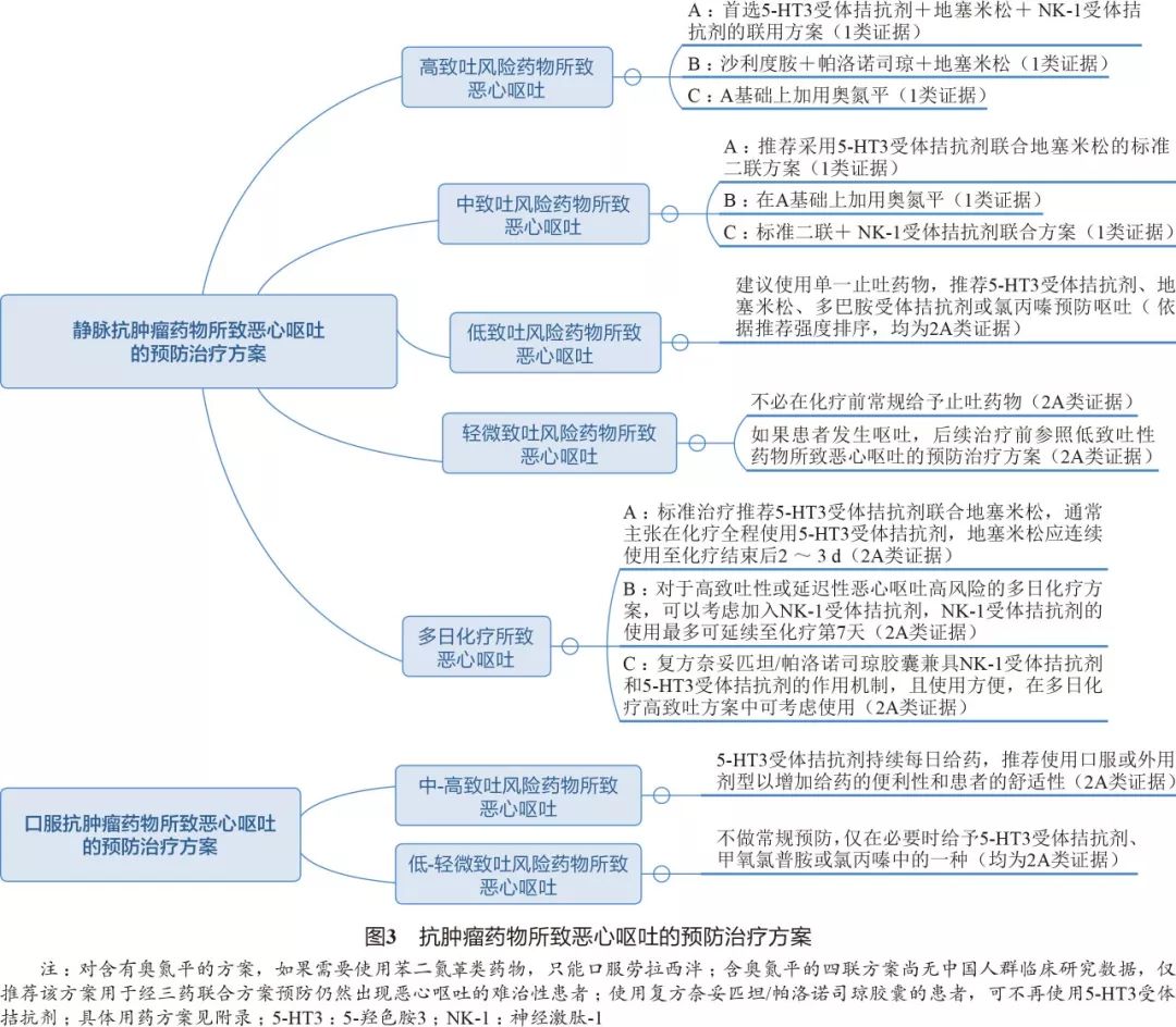 抗肿瘤恶心呕吐,抗肿瘤药的不良反应