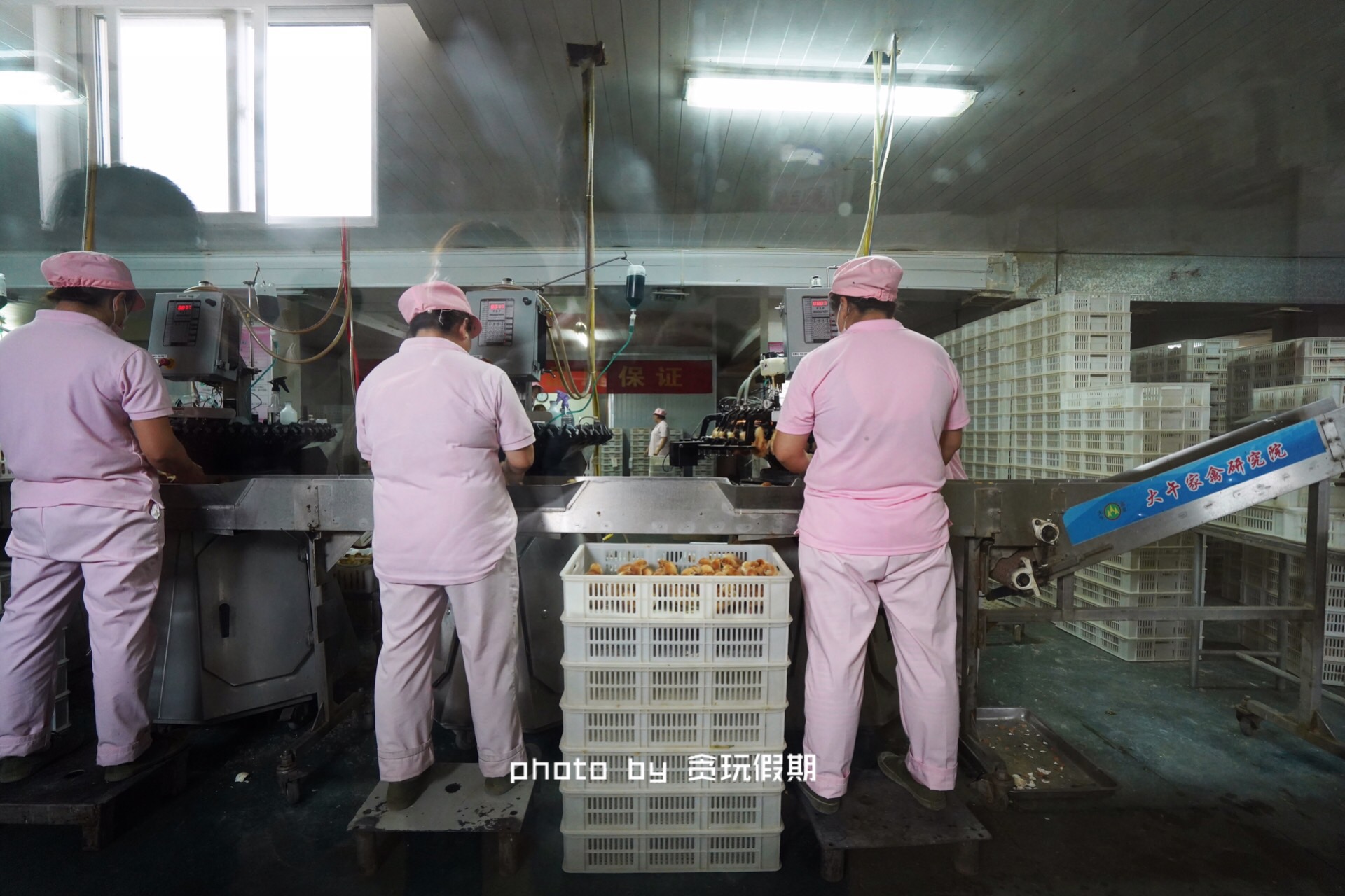 周末去河北攻略,周末到河北看海