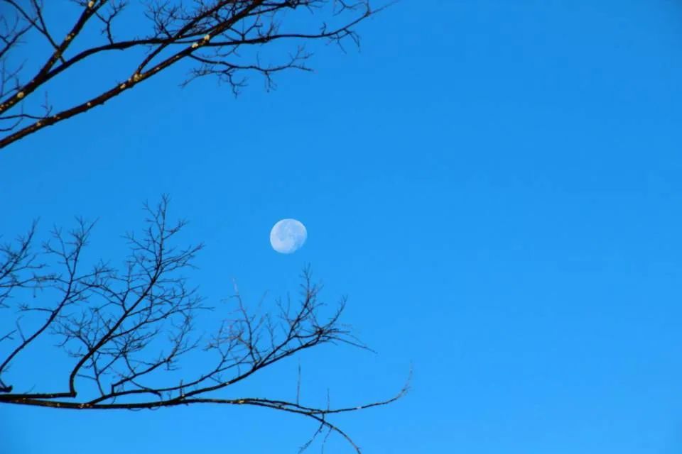 最好的月亮拍摄方法,真实的月亮星空怎样拍才好看