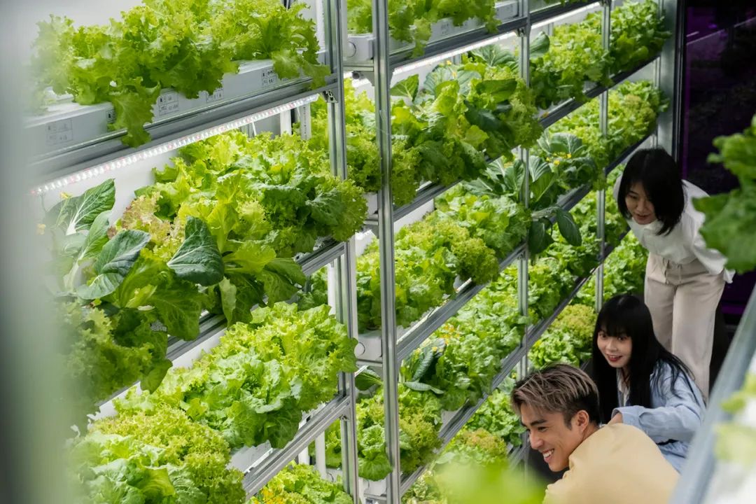 这条街，可能是全上海最时髦又接地气的