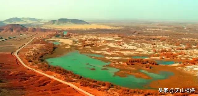 新疆的图木舒克市在什么位置,新疆的图木舒克是在北疆还是南疆