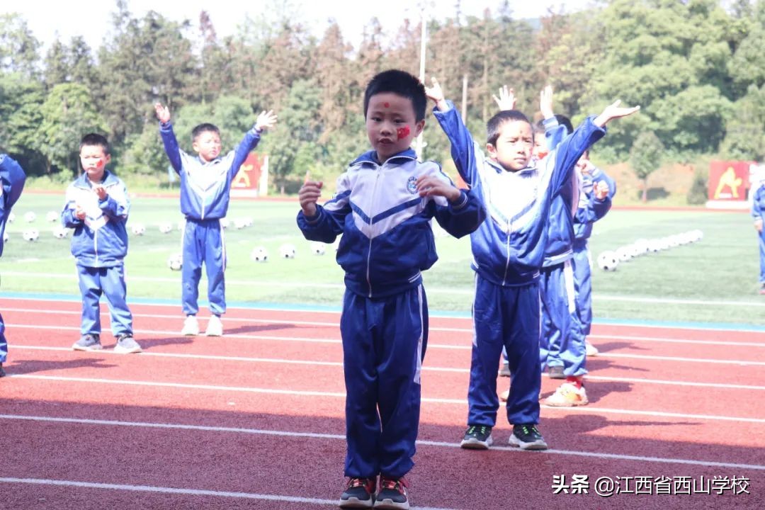 育才幼儿园2018年亲子运动会,北大附属幼儿园亲子运动会