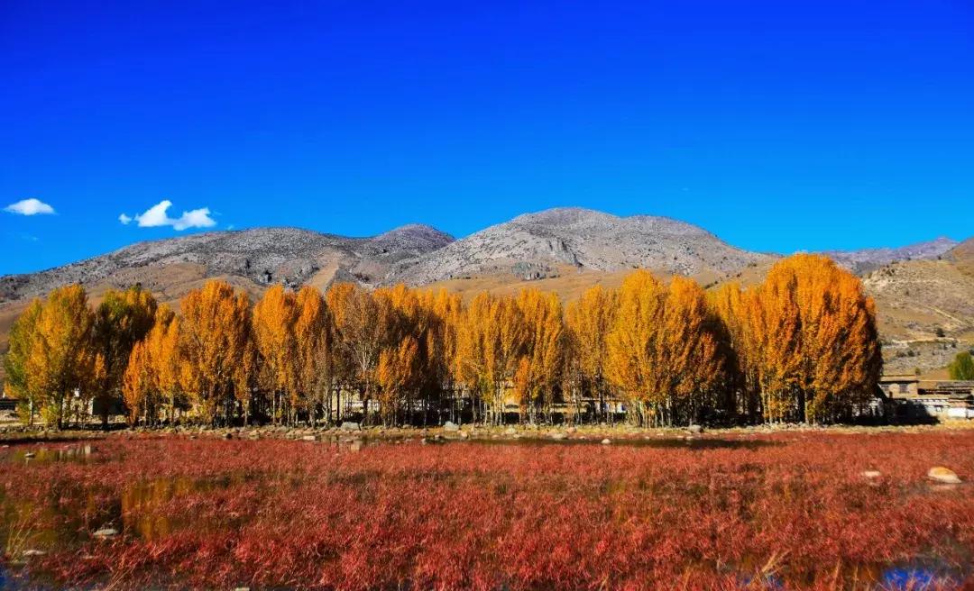 11月适合去旅行的著名风景推荐,10月11月适合旅游的地方