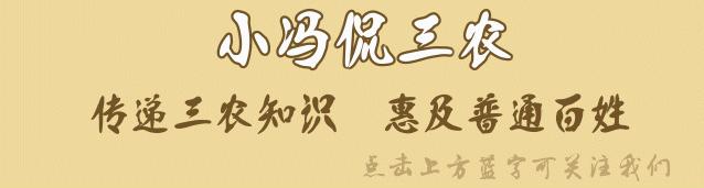 有哪些拜年需要关注的事,拜年需谨慎