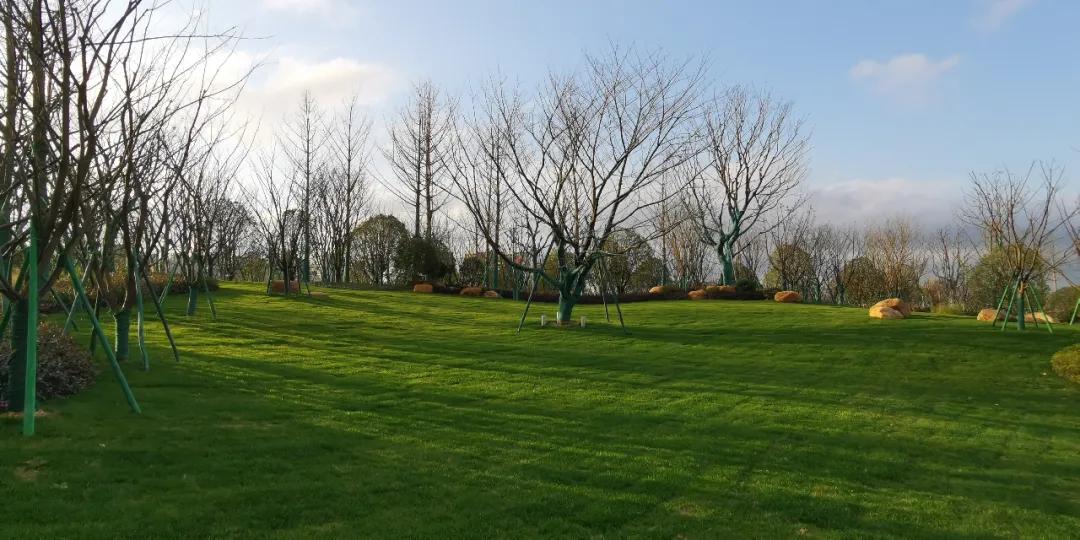 浙江爱心岛风景,杭州爱心岛游玩