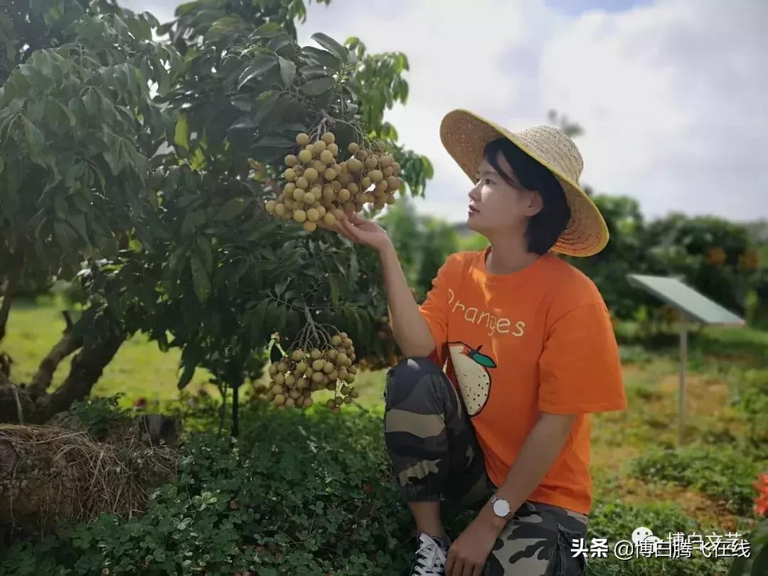 博白客家妹子创立一份“甜蜜”事业，有人还为她作了一首诗……