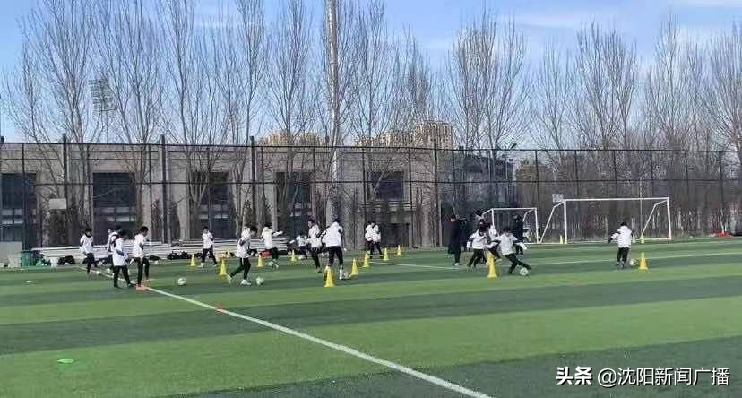 李树斌教练视频,李树斌沈阳足球俱乐部