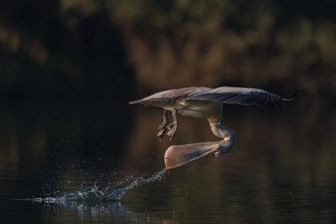 想成为摄影大神你得先过这一关,想要成为一名优秀的风光摄影师
