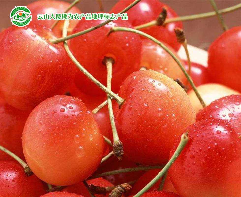 青岛特产十二道海味,青岛特产必买清单排行榜第一名