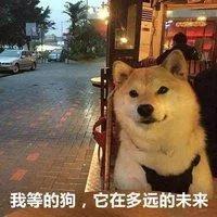 沙雕不可怕就怕沙雕住一窝表情包,不怕沙雕多就怕沙雕聚一窝系列