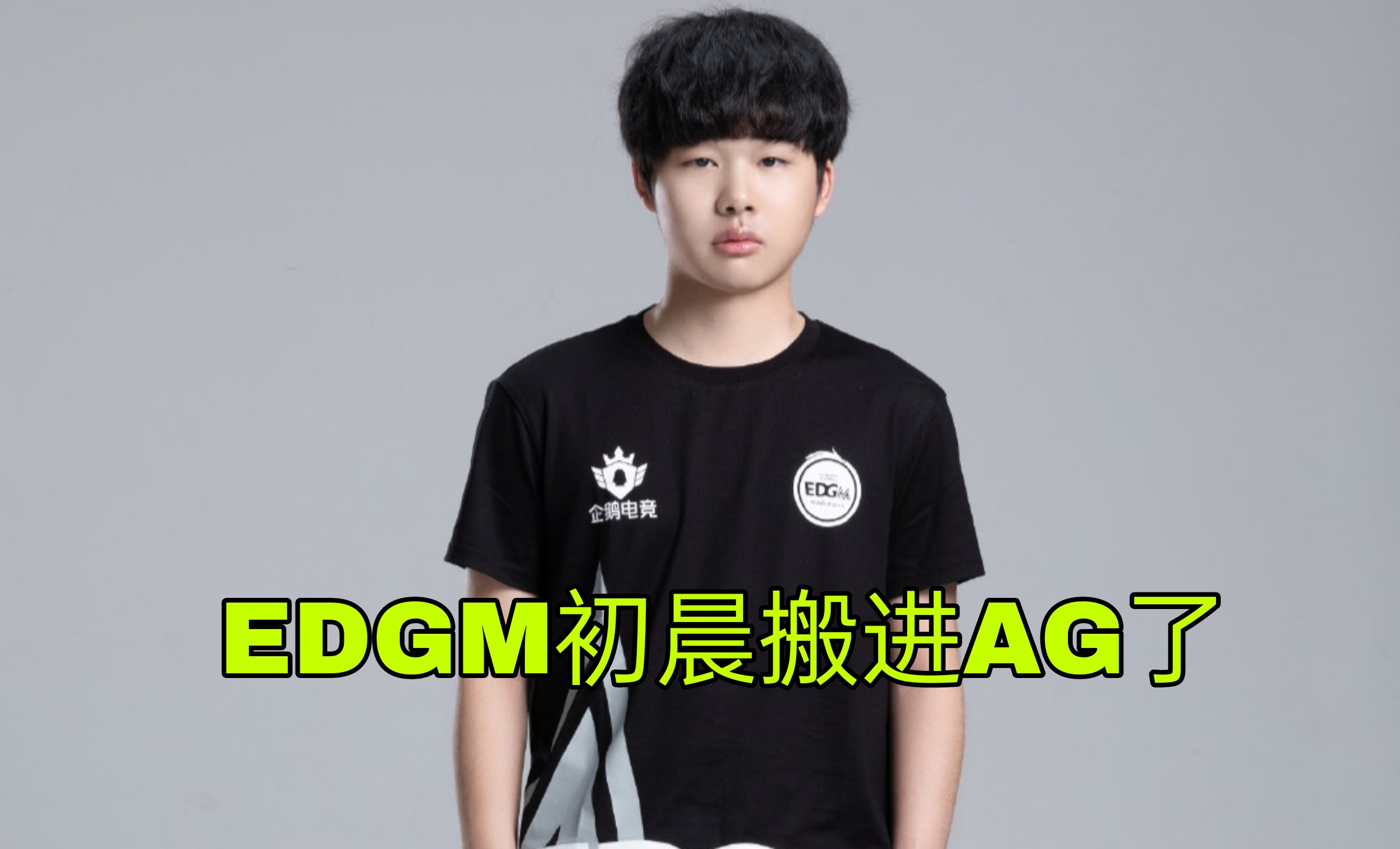 晨晨淘汰后带飞阿信，1987改前缀AG，官宣被拍走，汤汤没了