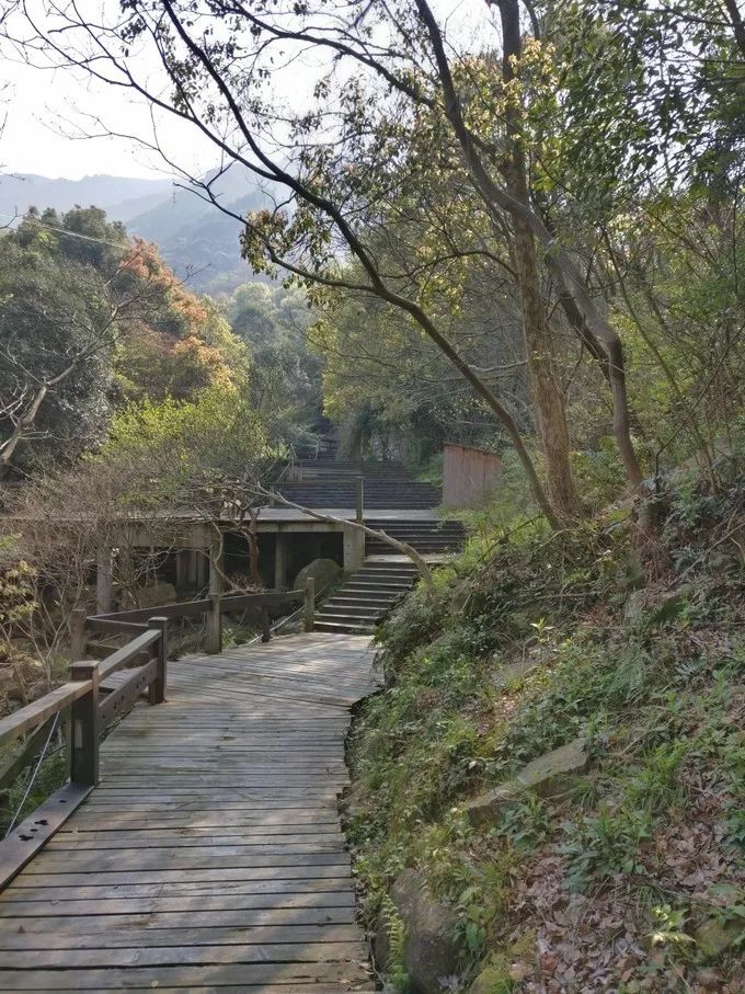 上海去桃花岛的自驾轮渡时间表,上海开车去舟山桃花岛怎么去