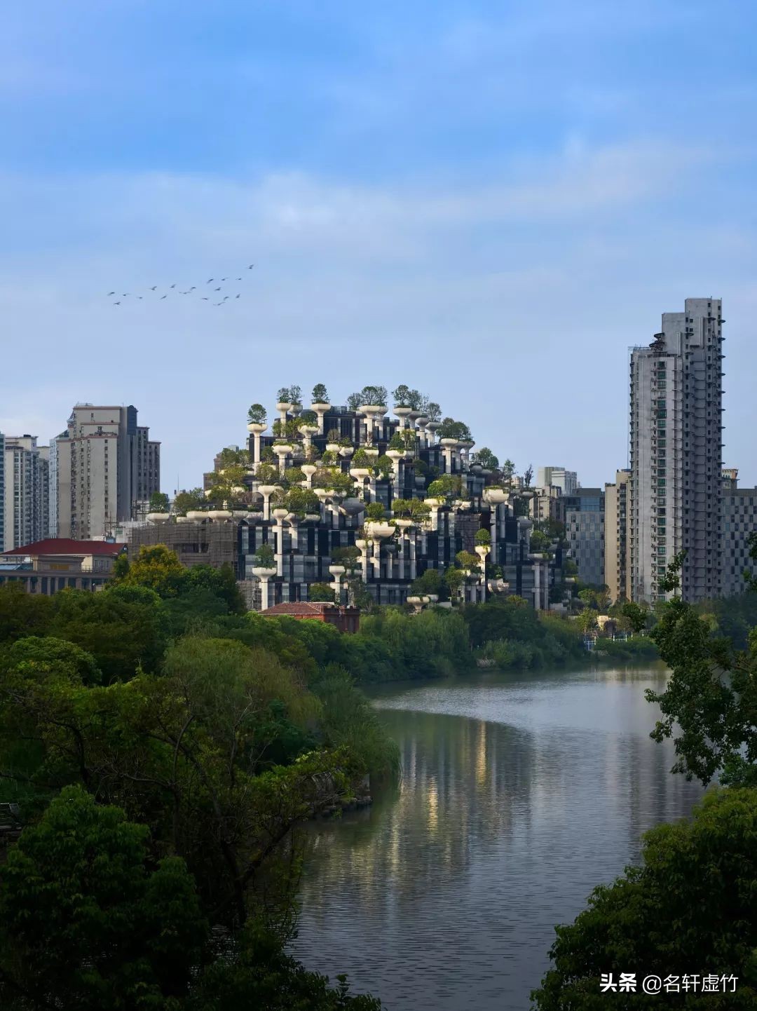 上海苏州河天安千树公园,天安千树苏州河畔空中花园