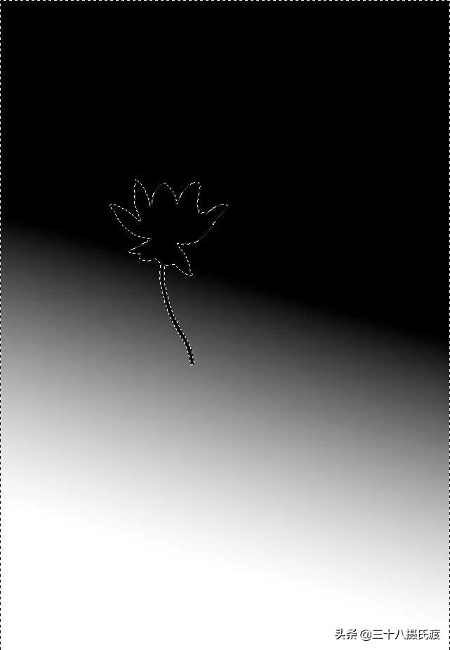 photoshop2022版本增加什么功能了,photoshop2020新版本界面