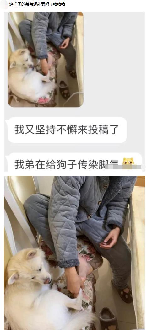 爬山回来手指头长毛什么梗,爬山回来手指头长了几根毛