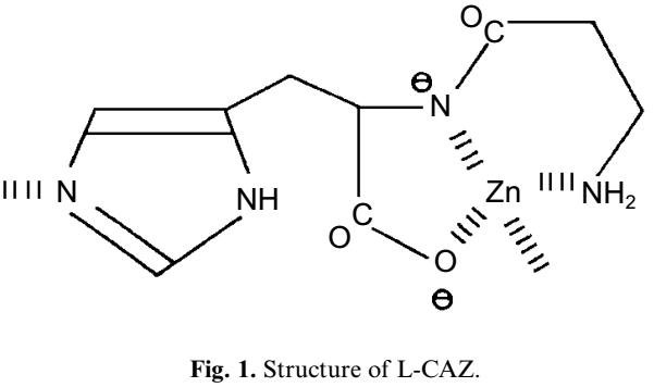 治疗幽门螺杆菌新二联疗法,治疗幽门螺杆菌用三联疗法